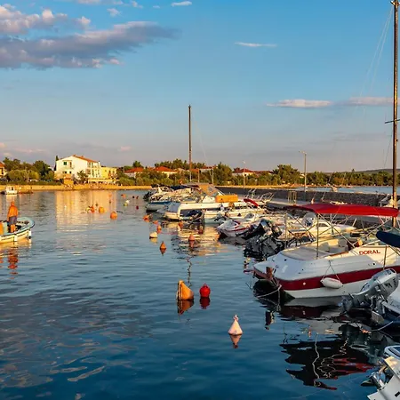 Agava-miran Odmor Uz Borovu Sumu Apartment Seline