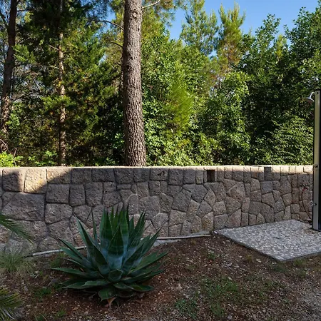 Agava-miran Odmor Uz Borovu Sumu Apartment Seline